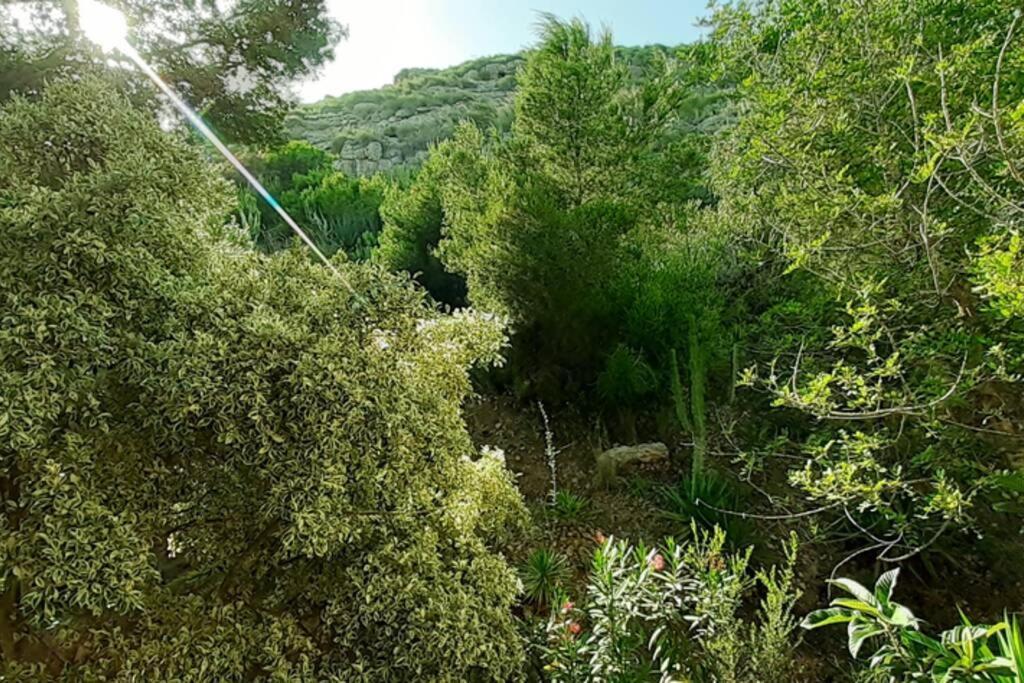 Descansar, Sonreir, Sentir. Paraiso Frente Al Mar Санта Пола Екстериор снимка