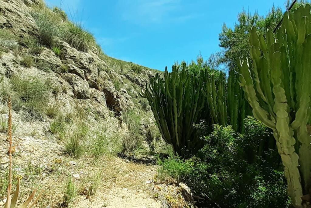 Descansar, Sonreir, Sentir. Paraiso Frente Al Mar Санта Пола Екстериор снимка