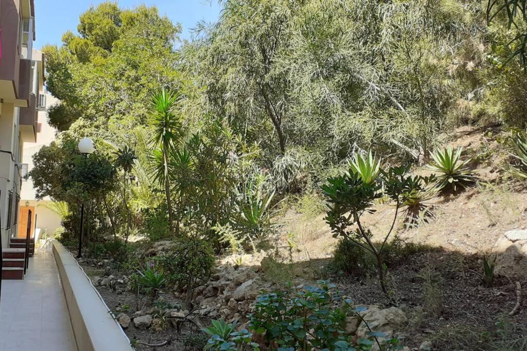 Descansar, Sonreir, Sentir. Paraiso Frente Al Mar Санта Пола Екстериор снимка